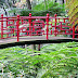 red bridge in a green environment