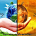 Essay On Global Warming | Global Warming effects