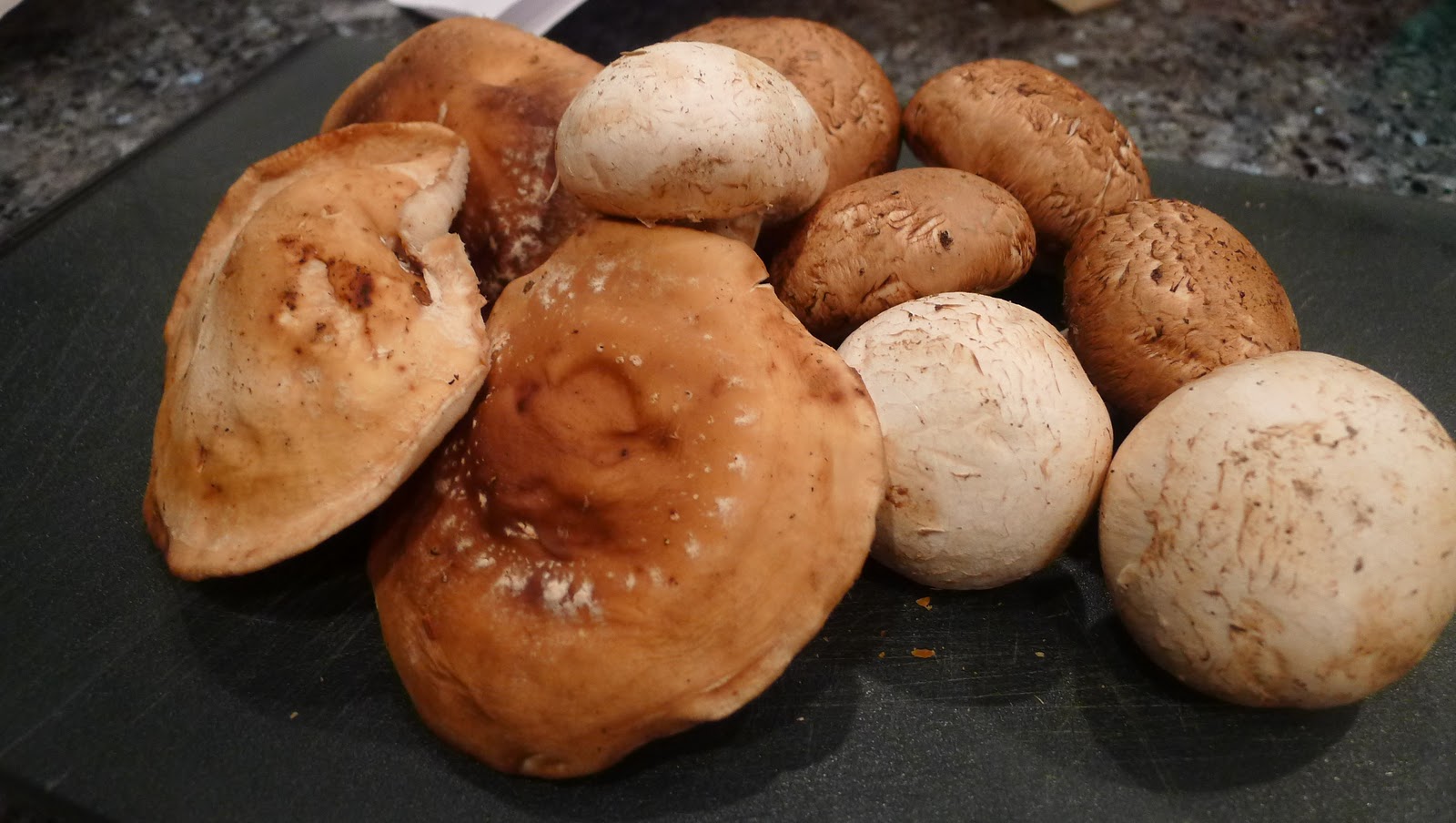 newFOOD tuesdayz: Creamy Wild Mushroom Soup