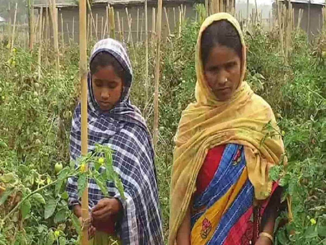 गरीब महिला ने बयान किया अपना दर्द, 15 दस्तावेज देकर भी खुद को भारतीय साबित नहीं कर पाई असम की जाबेदा, गरीब महिला ने बयान किया अपना दर्द, 15 दस्तावेज देकर भी खुद को भारतीय साबित नहीं कर पाई असम की जाबेदा,