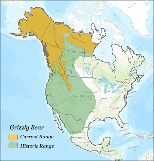 Geographic distribution grizzly in North America