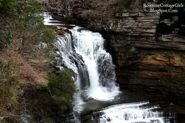 The waterfall Cummins Falls in NE Tennessee shows white water falling from dark black rocks and landing below in a series of cascades from limestone shelves flattening out into a flat area and then going down another series of cascading shelves and into the river below. Photo by the rosevinecottagegirls.com from their article about Cummins Falls