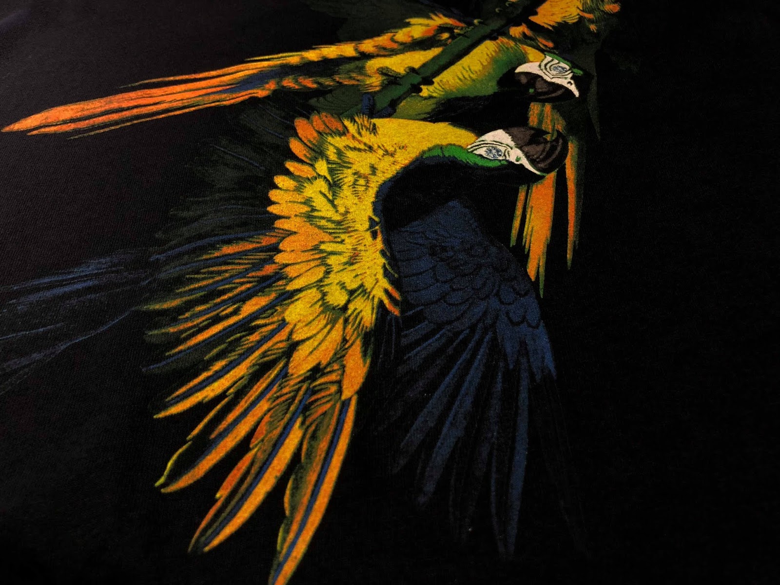 Valery paradisebirds