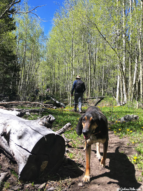 Hiking to Blind Lake, Boulder Mountain - Girl on a Hike