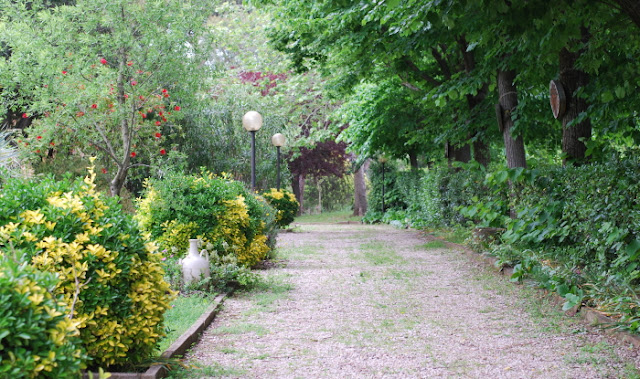in our garden - CASA SANTO SPIRITO