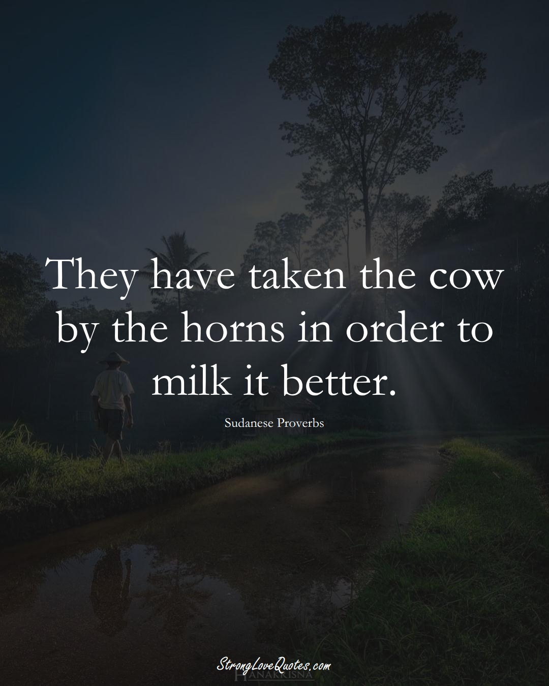 They have taken the cow by the horns in order to milk it better. (Sudanese Sayings);  #AfricanSayings