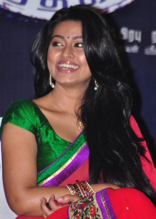 sneha spicy saree inages_unseen hot photoshoot