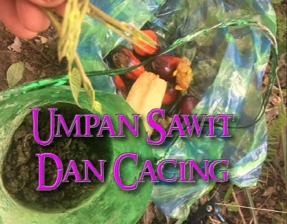 Renjer Sungai Jom Join Trip Memancing Ikan Kelabau