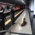 PERROS ESPECIALIZADOS EN DETECTAR EXPLOSIVOS EN ESTACIONES DEL METRO DE SANTO DOMINGO