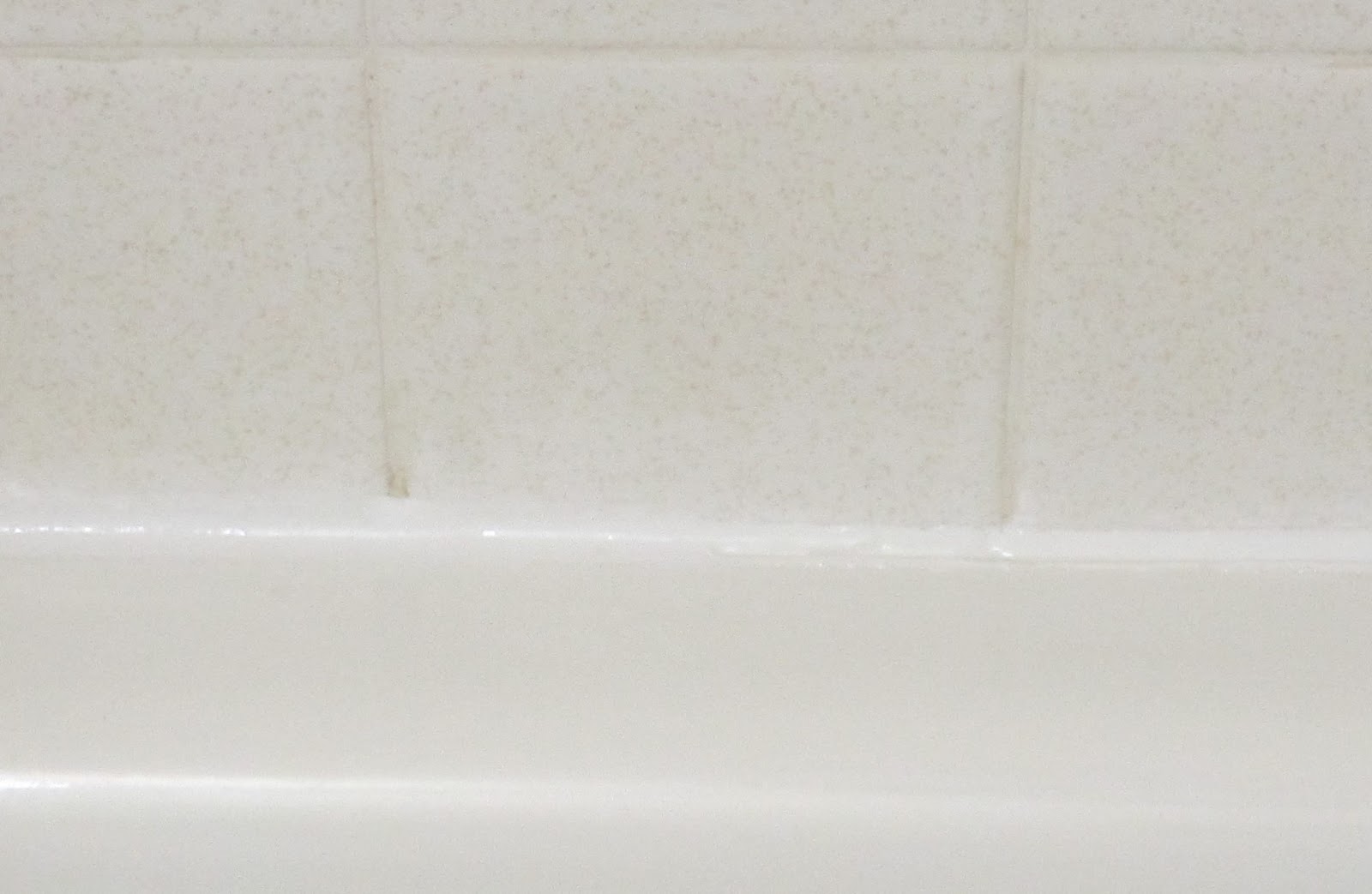 It's about time. Sealing The Bathtub, Cleaning Grouting and Meeting