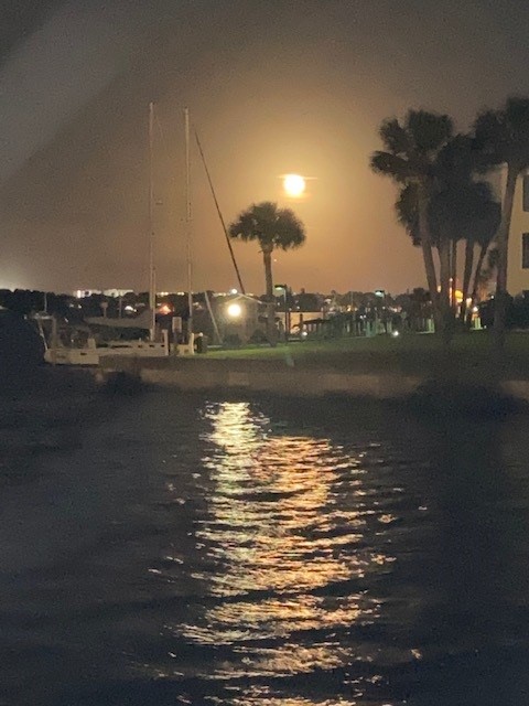 Daytona Marina Moon