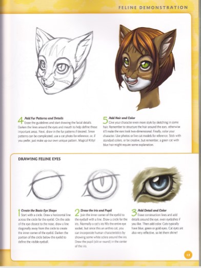 drawing furries hodges and cibos drawing furries hodges and cibos