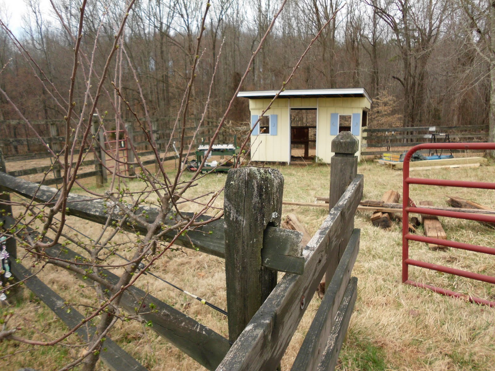 Belle Terre Farm and Guest Quarters The Garden Shed Project