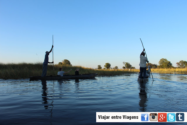 Visitar o DELTA DE OKAVANGO e explorar os seus canais | Botswana