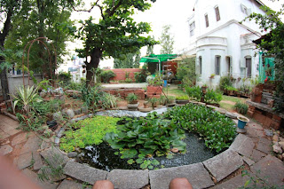 yarden dinu trellis offset repurposed eden entrance gate bird bath