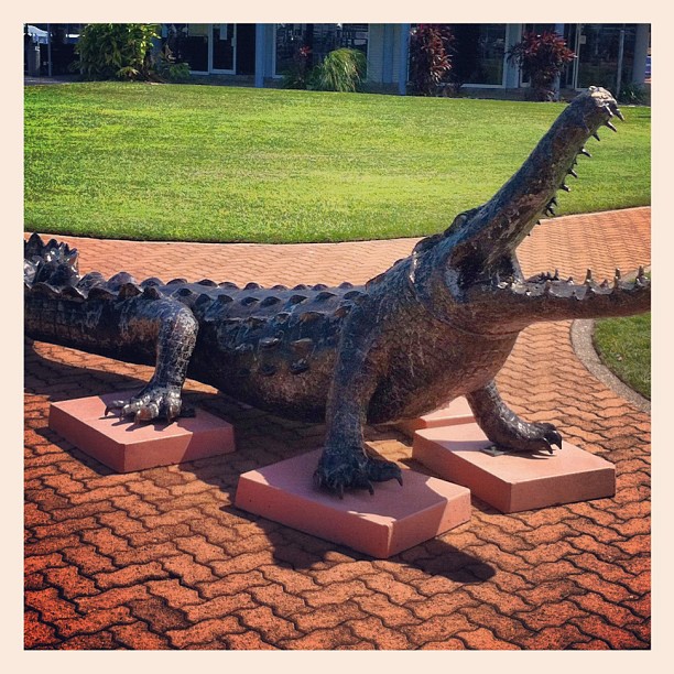 divacultura Danger in Darwin