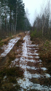 ПВД3Д - Мещёра: Черусти-Спасск Рязанский, через Голованово