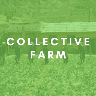 collective farm definition