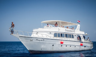 Egypt Red Sea Excursions 