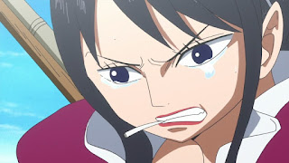 ワンピースアニメ | ドンキホーテファミリー ベビー5 | ONE PIECE DONQUIXOTE FAMILY | Hello Anime !