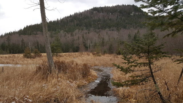 Étang avec le mont Sourire en arrière-plan