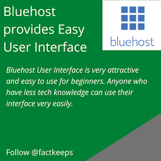 Bluehost provides Easy User Interface
