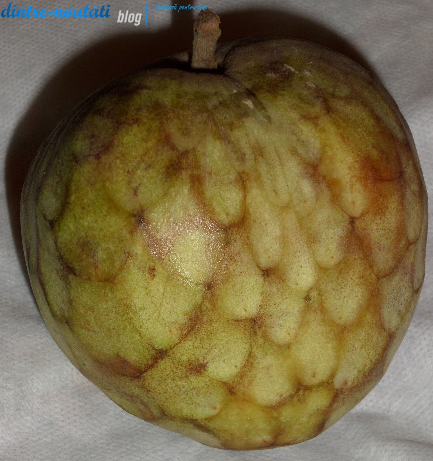 Cherimoya / Anonna | D-Nblog. P?reri sincere despre produse noi.Testez