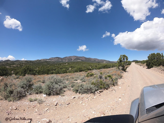 Hiking to Frisco Peak, Utah