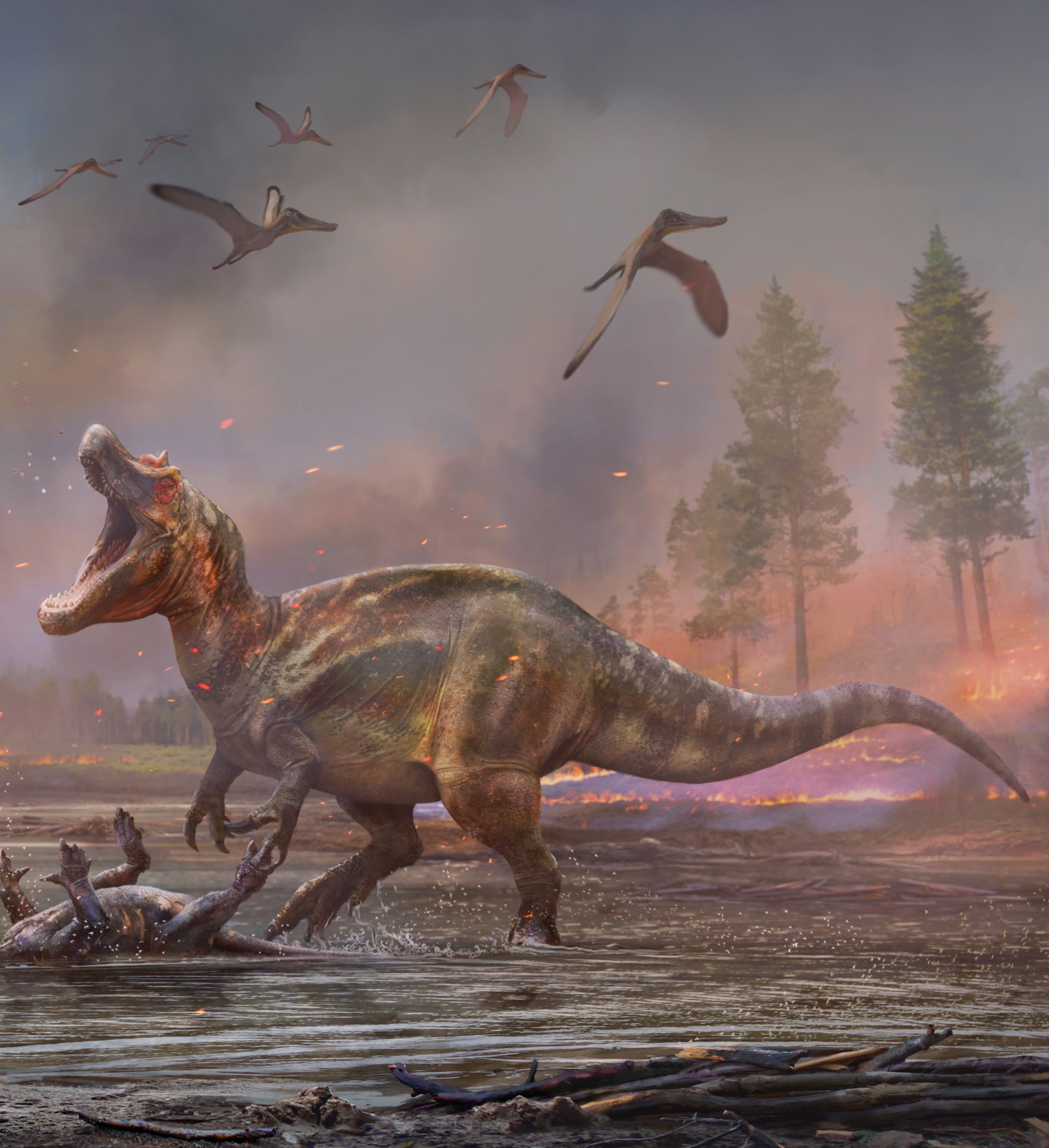 Ceratosuchops inferodios v Riparovenator milnerae Carnivora