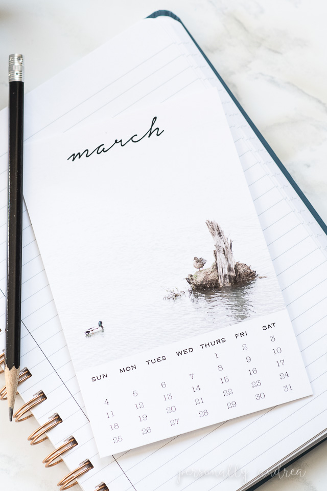 Welcome March | Printable Photo Calendar Card