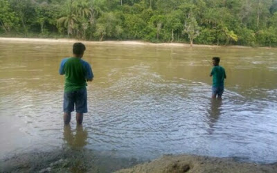 cara mancing ikan patin liar