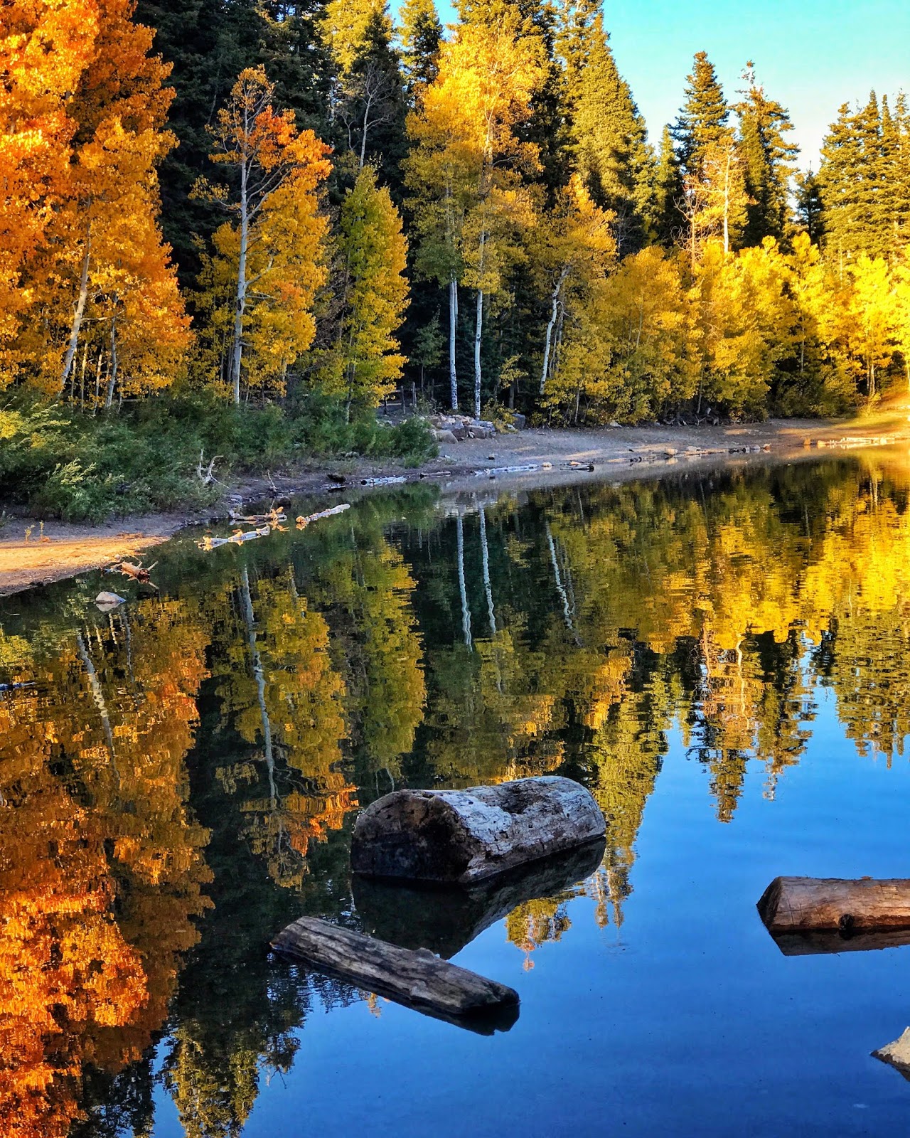 Life of Tracy Autumn in Payson Canyon
