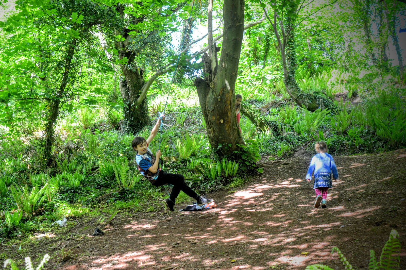 , Castle Pill Woods, Milford Haven, Pembrokeshire #countrykids
