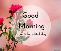 good morning flowers images