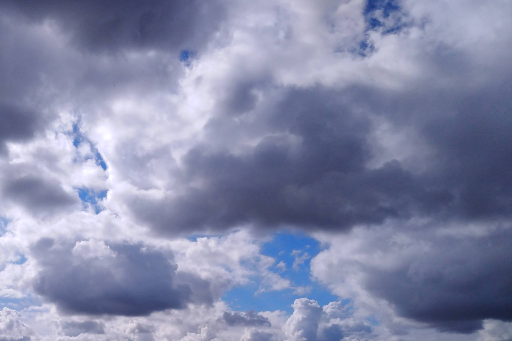 Dans les nuages de Vénus