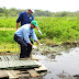 Cincuenta caimanes aguja, fueron reintegrados a su hábitat natural