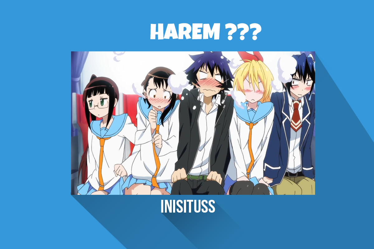 Apa itu Harem,Ecchi,Fanservice dan Reserve Harem dalam Anime