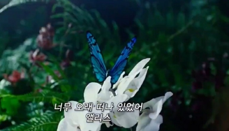 거울나라의 앨리스 재질 트레일러(feat. 세계관 궁예) | 인스티즈