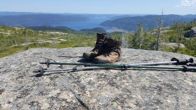 Point de vue à partir du sommet de la Montagne Blanche