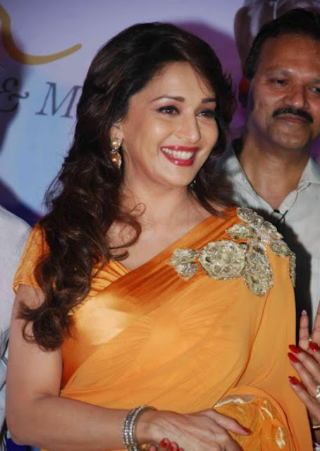 Bollywood Actress Madhuri Dixit Hot Pics In Saree 13