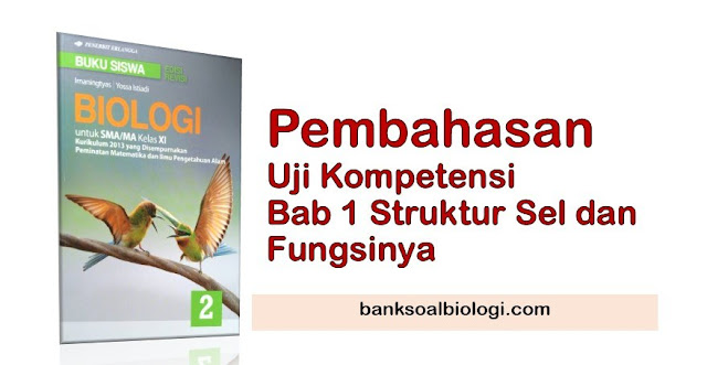 Jawaban Soal Uraian Biologi Bab 1 Sel, Buku Erlangga Kelas XI Jawaban Soal Uraian Biologi Bab 1 Sel, Buku Erlangga Kelas XI