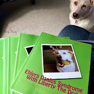 For A Quick Look At Ehlers Danlos Syndrome With Liberty The Dog