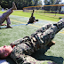 Making Better Service Members through Operational Fitness