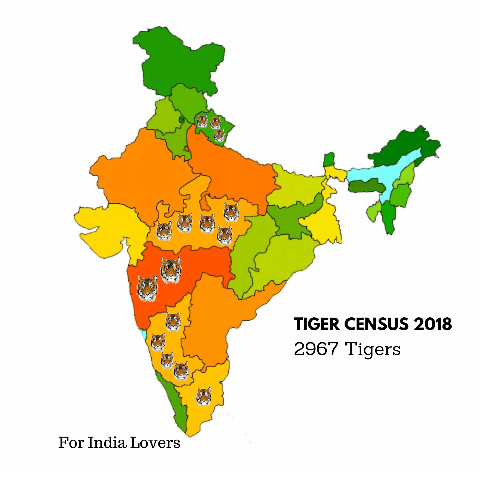 Conservation of Tigers in India Successfully Doubled Tiger Population in India For India Lovers