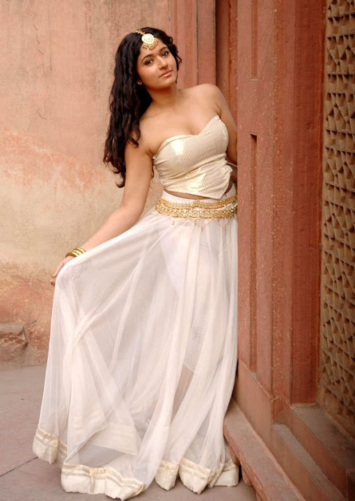 poonam bajwa glamour stills
