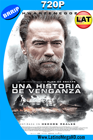 Aftermath: Una Historia De Venganza (2017) Latino HD 720p (2017)