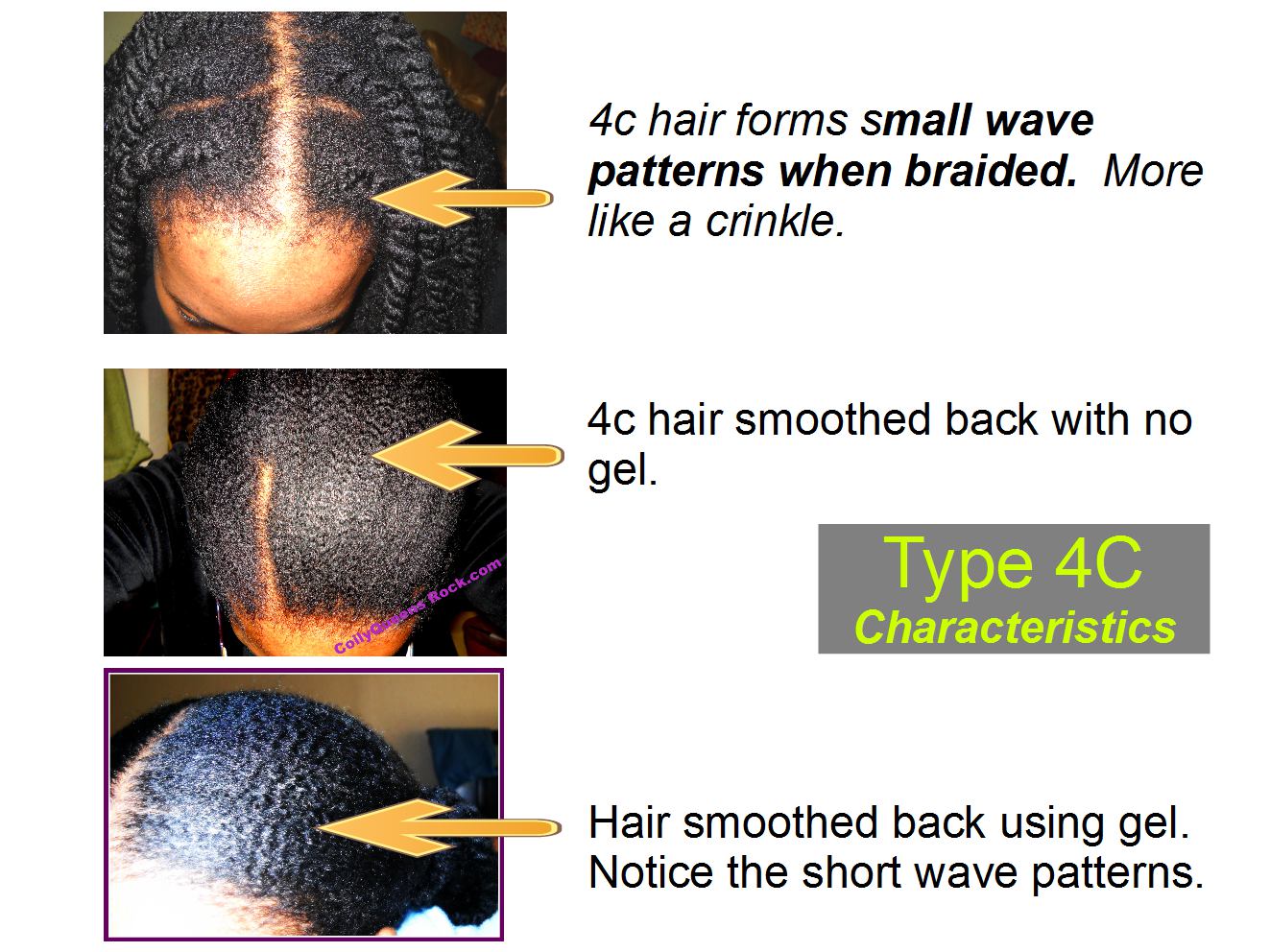 Coilyqueens How To Figure Your Curl Type
