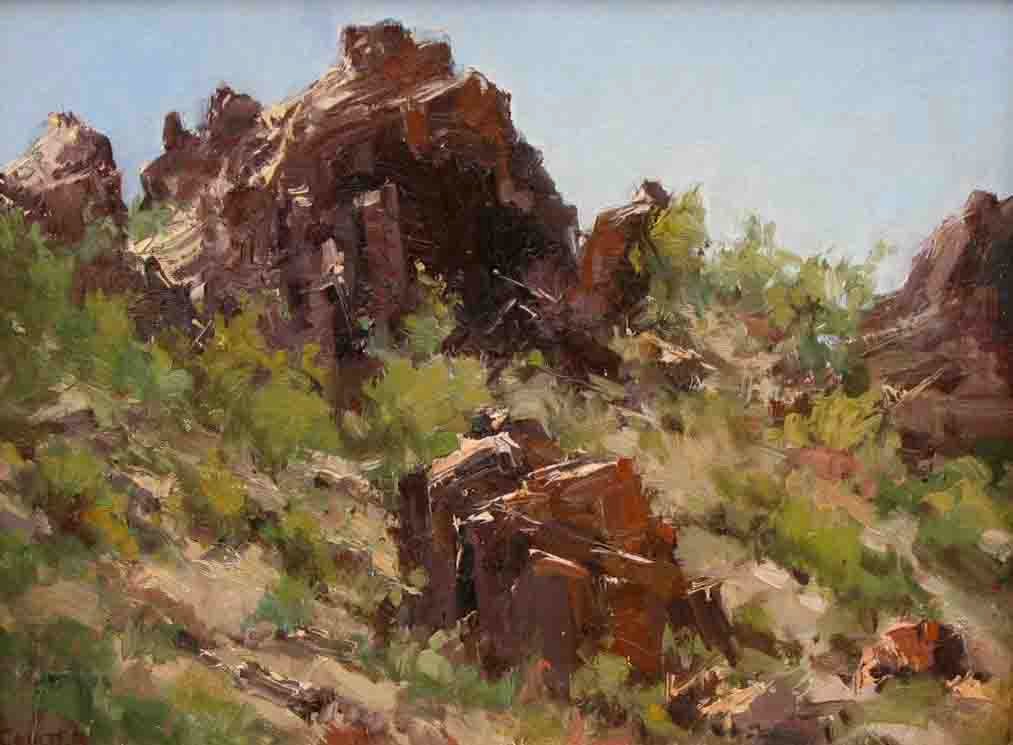 James M Coulter DESERT ROCKS