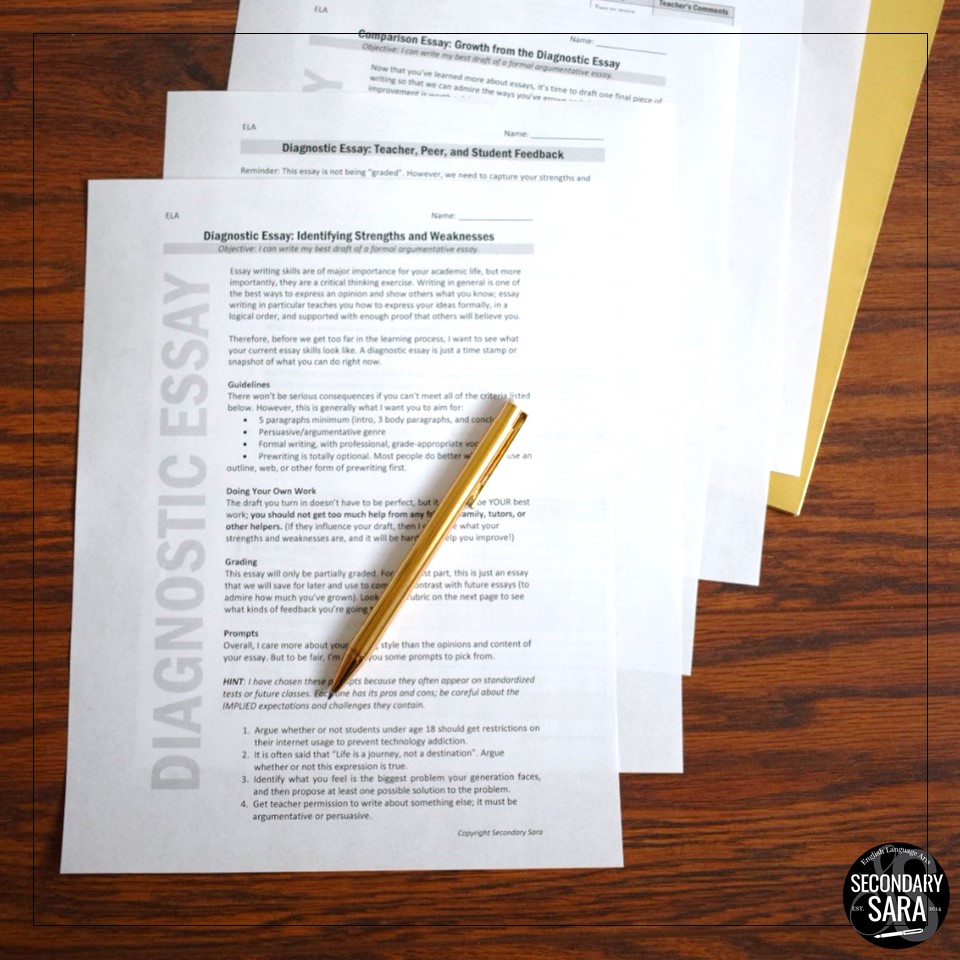 5 Diagnostics to Get to Know Your English Classes SECONDARY SARA