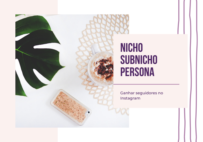 Nicho subnicho persona